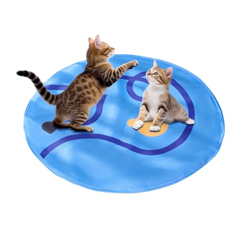 Qfdiwr Rolling Cat Ball in Play Matte, Interactive Cat Toy - Interaktive Katzenspielzeug tragbare Spielmatte - Safe komfortable Spiel für Haustiere liefert Kätzchen an Bereicherung Qfdiwr Rolling Cat Ball in Play Matte, Interactive Cat Toy - Interaktive Katzenspielzeug tragbare Spielmatte - Safe komfortable Spiel für Haustiere liefert Kätzchen an Bereicherung von Qfdiwr
