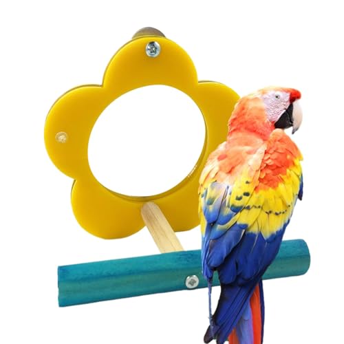 Qfdiwr Vogelspiegel für Käfig, Vogelspiegel für Sittiche,Papageienspielzeug Mirror Cockatiel Perch | Kautenblütenform Shot -Spielzeug, Haustiervorräte für Cockatiel Lovebird Finch Canaries von Qfdiwr