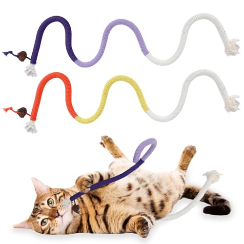 QfwdfcTrenz 2 Stück Kauspielzeug Katze Katzenspielzeug Interaktives Katzenspielzeug Zahnungsspielzeug Katzen Spielzeug Selbstbeschäftigung für Katzen Zahnpflege Zähne Reinigung von QfwdfcTrenz
