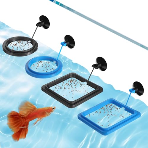 Fisch-Futterring mit Saugnapf, rund und quadratisch, schwimmend, Futterspender für Aquarium, Fisch-Futterspender, Aquarium-Zubehör für Guppy, Betta, Goldfische, kleine Fische, Blau und Schwarz, 4 Fisch-Futterring mit Saugnapf, rund und quadratisch, schwimmend, Futterspender für Aquarium, Fisch-Futterspender, Aquarium-Zubehör für Guppy, Betta, Goldfische, kleine Fische, Blau und Schwarz, 4 von QfwdfcTrenz