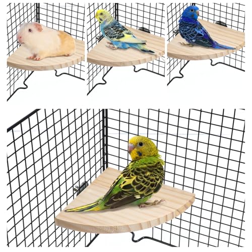 Vogelsitzstange Plattform Ständer Papageienständer Sektor Spielplatz Holz Sitzstange Ständer Spielzeug Holz Papagei Sitzstangen Ecke für Kanarienvögel Nymphensittiche Finken, Wellensittiche Lovebirds Vogelsitzstange Plattform Ständer Papageienständer Sektor Spielplatz Holz Sitzstange Ständer Spielzeug Holz Papagei Sitzstangen Ecke für Kanarienvögel Nymphensittiche Finken, Wellensittiche Lovebirds von QfwdfcTrenz