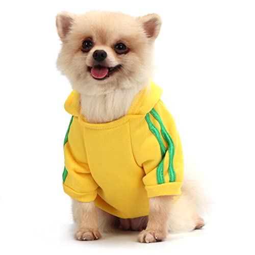 QiCheng&LYS Hunde Hoodie,Kleine Hunde Strickpullover Wintermantel Für Kleine Hunde (Gelb, S) von QiCheng&LYS
