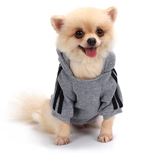 Hundemantel Hund Hoodies Kleidung, Pet Puppy Katze Niedlicher Baumwoll Warm Hoodies Coat Pullover(Grau, XS) von QiCheng&LYS