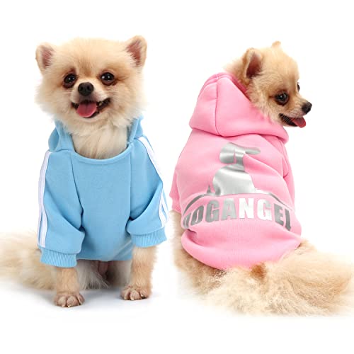 QiCheng&LYS Hundehoodie kleine Hunde Strickpullover wintermantel für kleine Hunde (Rosa/Blau, M) von QiCheng&LYS