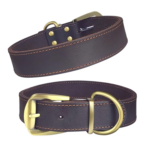 Hundehalsband aus Robustem Naturleder Gepolstert mit Weichem Kissen Verstellbare Passform Premiumleder, XL von QianRuiDa