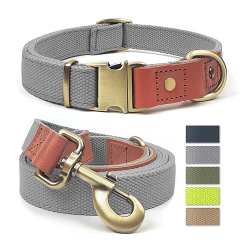 QRDA Hundehalsband und Leine, Silbergrau, personalisierbar, taktischer Gürtel, verstellbar, für Hunde, mittelgroße und große Hunde QRDA Hundehalsband und Leine, Silbergrau, personalisierbar, taktischer Gürtel, verstellbar, für Hunde, mittelgroße und große Hunde von QianRuiDa