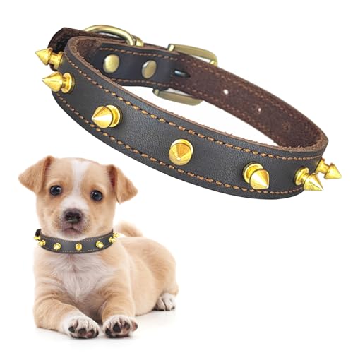 Qianruida Nietenbesetztes Lederhalsband für Hunde, Verstellbares Anti-Beiß-Individualitätshalsband, Nietenbesetzte Halsbänder für kleine bis mittelgroße Hunde - S von QianRuiDa