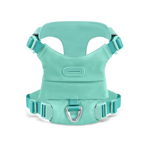 Qianruida Hundegeschirr, Anti-Zug-Hundegeschirr, Reflektierend, Einfach Anzuziehen, Strapazierfähig Für Kleine Hunde Aus Nylon - Aqua Grün S Qianruida Hundegeschirr, Anti-Zug-Hundegeschirr, Reflektierend, Einfach Anzuziehen, Strapazierfähig Für Kleine Hunde Aus Nylon - Aqua Grün S von QianRuiDa