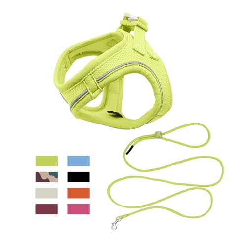 Qianruida Set mit Hundegeschirr, Brustgurt, reflektierend, verstellbar, für kleine Hunde, Katzen, mittelgroße Hunde (Zitronengrün XXXS) von QianRuiDa