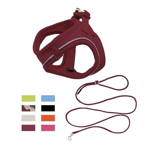 Qianruida Hundegeschirr Und Leine Für Kleine Hunde Verstellbare Zugentlastung Reflektierende Welpen Katzengeschirr Atmungsaktive Soft Mesh Jacke Zum Wandern, Laufen, Trainieren(Bordeaux S) von QianRuiDa