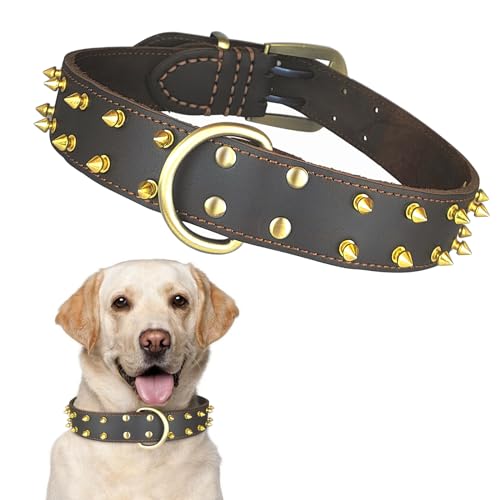 Qianruida Hundehalsband mit Spitzen, Nieten, Halsband aus Leder für Hunde, Anti-Bissschutz, verstellbar, Individualität, geeignet für große Hunde - XXL Qianruida Hundehalsband mit Spitzen, Nieten, Halsband aus Leder für Hunde, Anti-Bissschutz, verstellbar, Individualität, geeignet für große Hunde - XXL von QianRuiDa