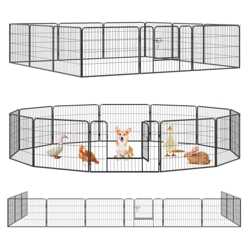 Qianruida Welpenauslauf 60cm Hoch Welpenlaufstall Hundelaufstall Hundezaun Zaun für Hunde Katzen Kleintiere Laufstall Hunde Drinnen und Draußen 12-Stück Schwarz Qianruida Welpenauslauf 60cm Hoch Welpenlaufstall Hundelaufstall Hundezaun Zaun für Hunde Katzen Kleintiere Laufstall Hunde Drinnen und Draußen 12-Stück Schwarz von QianRuiDa