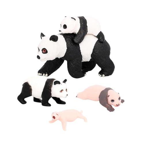 Qianly 4X Panda Tier Lebenszyklus Modell Klassenzimmer Zubehör Lernspielzeug Kognitiven Spielzeug, Panda-Wachstumszyklus 4 von Qianly