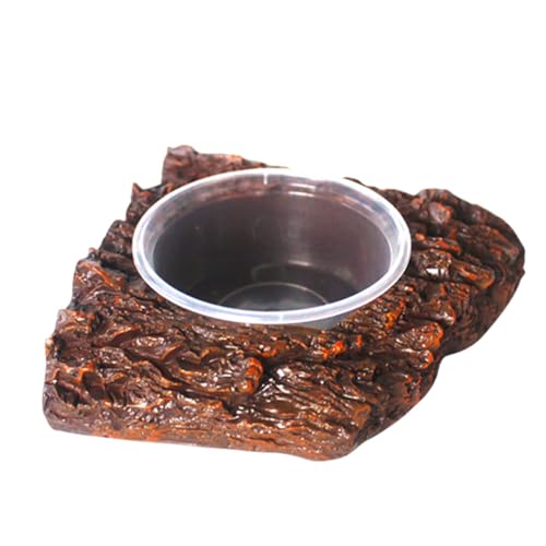 Qianly Amphibien Fütterung Lebensmittel Wasser Schüssel Harz Rock Feeder Dish für Leopard Gecko, 1 Schüssel 11x10x3cm von Qianly