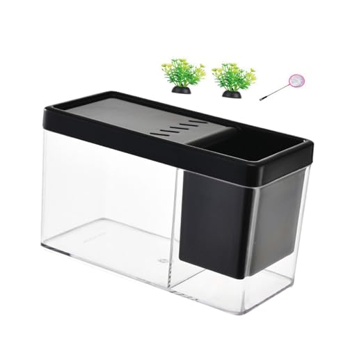 Qianly Aquarien Set für Zuhause, Vielseitig Einsetzbar, Dekorativ, Schwarz von Qianly