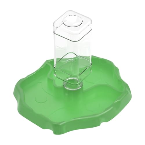 Qianly Aquarium Futterstation für Reptilien, Futter Und Wassernapf für Geckos Und Schildkröten, Dunkelgrün Qianly Aquarium Futterstation für Reptilien, Futter Und Wassernapf für Geckos Und Schildkröten, Dunkelgrün von Qianly