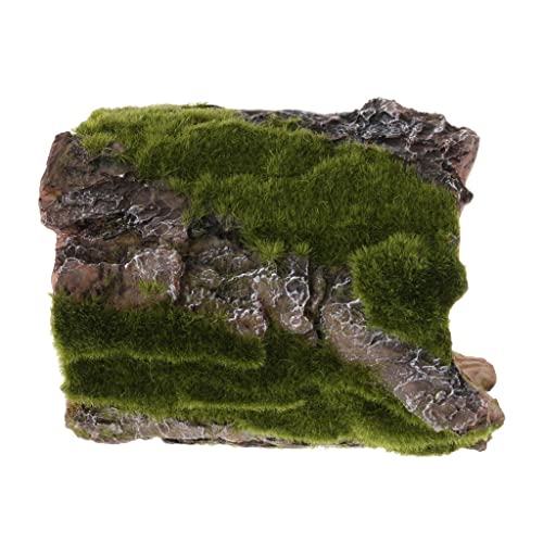 Qianly Bends Terrarium Reptile Habitat Décoration Turtle Basking von Qianly