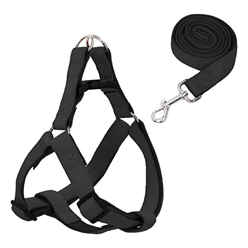 Qianly Haustier-Hundegeschirr und Leine, verstellbare Schnalle, Welpenweste, Brustgurt, Heimtierbedarf für Lauftraining im Freien, 1,5 cm x 120 cm von Qianly