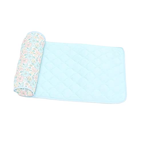 Qianly Hund Kühl Matte mit Kissen für Katzen Bett mit Kissen Isomatte für, S Blau 50x30x8cm Qianly Hund Kühl Matte mit Kissen für Katzen Bett mit Kissen Isomatte für, S Blau 50x30x8cm von Qianly