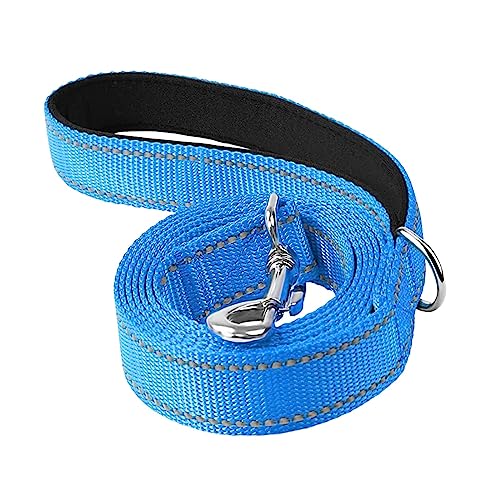 Qianly Reflektierende Hundeleine für Große Und Mittelgroße Hunde, Welpen Leine, 1,8 M, Weich Gepolsterter Griff, Bequeme Hunde Trainingsleine Zum Spazierenge, Hellblau von Qianly