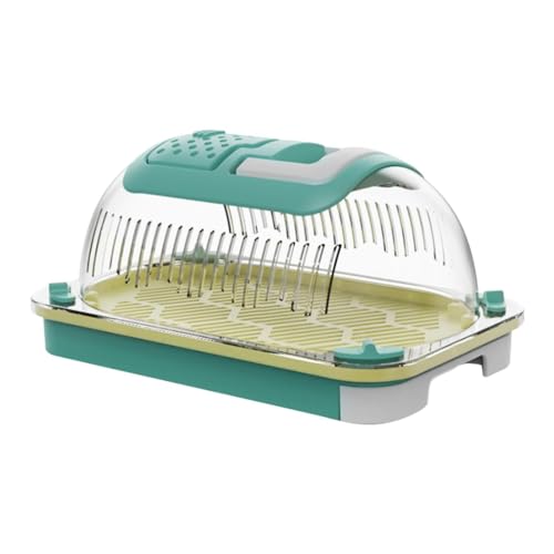 Qianly Reptilien -Terrarium Reptilien -Fütterungsbox klar tragbare transparente Reptilien Käfigreptilienträger für Terrapin Eidechsenschildkröte, S von Qianly