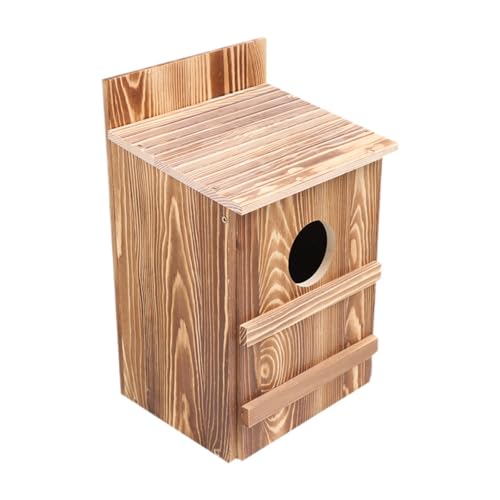 Qianly Vogelhaus, Eule, Dekor, hölzerne Haustier liefert Holzbirdhaus Outdoor Vogelbox für Hummingbird Balkon Terrasse Qianly Vogelhaus, Eule, Dekor, hölzerne Haustier liefert Holzbirdhaus Outdoor Vogelbox für Hummingbird Balkon Terrasse von Qianly