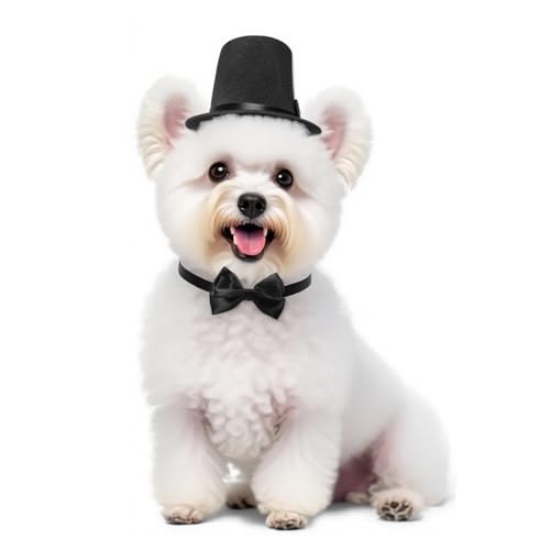 Qiansail 2-teiliges formelles Haustierzubehör-Set, Hundehut mit Fliege, Katze, Smoking, Krawatte, Kostüme für Halloween, Geburtstagsparty, Schwarz Qiansail 2-teiliges formelles Haustierzubehör-Set, Hundehut mit Fliege, Katze, Smoking, Krawatte, Kostüme für Halloween, Geburtstagsparty, Schwarz von Qiansail