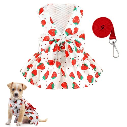 Qiansail Hundekleid, Sommerkleider für Damen, niedliches Schleifengeschirr, Leine, Set, Welpenkleidung, Katze, Prinzessinnen-Zubehör für Urlaub, Geburtstagsparty, Rot, Größe S Qiansail Hundekleid, Sommerkleider für Damen, niedliches Schleifengeschirr, Leine, Set, Welpenkleidung, Katze, Prinzessinnen-Zubehör für Urlaub, Geburtstagsparty, Rot, Größe S von Qiansail