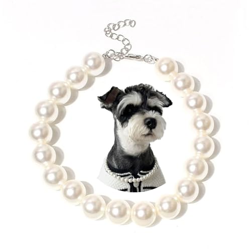 Qiansail Perlenketten für Hunde, Bonbonfarben, bezauberndes Perlenhalsband, Chihuahua, York, Kleidung, Kleid, niedlich, modisch, Haustierbedarf für Welpen, Kätzchen (Weiß, M) von Qiansail