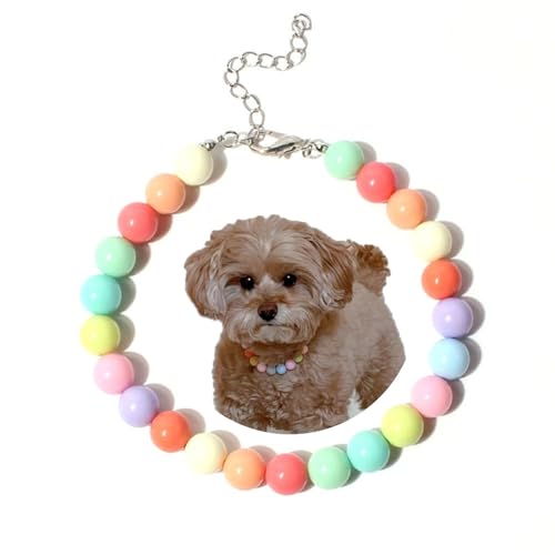 Qiansail Perlenketten für Hunde, Bonbonfarben, bezauberndes Perlenhalsband, Chihuahua, York, Kleidung, Kleid, niedlich, modisch, Haustierbedarf für Welpen, Kätzchen (mehrfarbig, M) von Qiansail