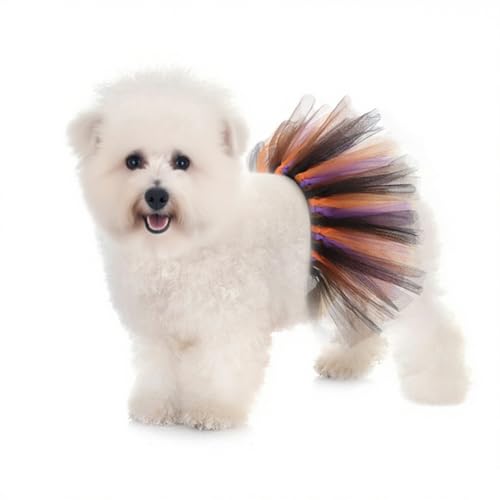 Qiansail Tutu für Hunde, rosa Spitzenrock, Prinzessinnenkleid, Halloween-Kostüm, Katzen-Outfit, Geburtstag, Hochzeit, Party, Foto-Requisite (Halloween-Farbe) von Qiansail