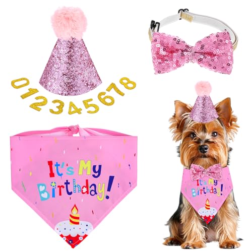 Qianyu Hunde Geburtstag Hut Bandana Set 3 Stücke Hunde Geburtstags Bandana Mütze mit 9 Bling Nummern Hund Geburtstag Deko Haustier Alles Gute Zum Geburtstag Liefert für Welpenkatzenhaustie Qianyu Hunde Geburtstag Hut Bandana Set 3 Stücke Hunde Geburtstags Bandana Mütze mit 9 Bling Nummern Hund Geburtstag Deko Haustier Alles Gute Zum Geburtstag Liefert für Welpenkatzenhaustie von Qianyu