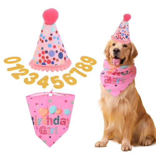 Qianyu Hund Geburtstagsmütze Haustier Geburtstagsparty Zubehör Set Süßer Hund Geburtstag Deko Dreiecks-Schal Bling Nummern Welpen Geburtstags Outfit für kleine Mittelgroße Hunde Katzen Kostüme Qianyu Hund Geburtstagsmütze Haustier Geburtstagsparty Zubehör Set Süßer Hund Geburtstag Deko Dreiecks-Schal Bling Nummern Welpen Geburtstags Outfit für kleine Mittelgroße Hunde Katzen Kostüme von Qianyu