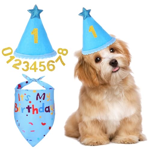 Qianyu Hut Bandana Set Hunde Geburtstag Partyzubehör Hundegeburtstage Hundehalstuch mit Zahlen Hundegeburtstags Dekorationen für Große Mittelgroße und Kleine Hunde Haustiere (Blau) von Qianyu
