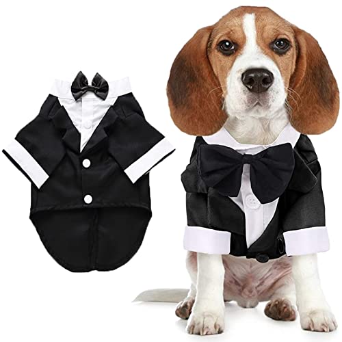 Hunde-Shirt, Welpen-Kleidung, Haustier-Hochzeitsanzug, formeller Smoking mit schwarzer Fliege, Hunde-Outfit für kleine, mittelgroße Hunde und Katzen, Gentleman Bekleidung (groß, schwarz) von Qidelong