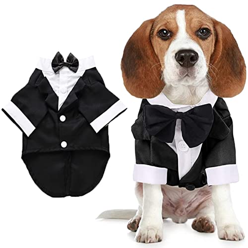 Hunde-Shirt, Welpenkleidung, Haustier-Hochzeitsanzug, formeller Smoking mit schwarzer Fliege, Hunde-Outfit für kleine, mittelgroße Hunde und Katzen, Hunde-Kleidung, Gentleman Bekleidung (M, Schwarz) von Qidelong