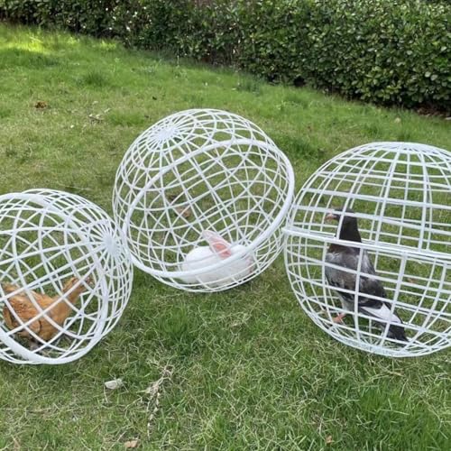 Huhn Rolling Ball Cage, 3 Stück Kugelförmiger Haustier Sicherheitskäfig Beweglicher, Kugelkäfig Hühner, Kugelförmiger Huhn Hamster Ballkäfig, Rollbarer Runder Hühnerkäfig, Käfighaus von Qidures
