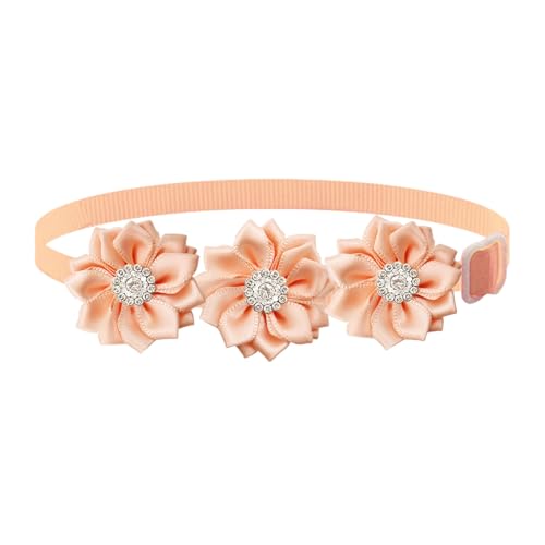 Qiebenav Bequemes Hundehalsband, Haustier-Halsband, verstellbar, Blumenmuster, Strass, Haustierhalsband für Katzen, Hunde, modisch, leicht, Haustierzubehör, Champagner Qiebenav Bequemes Hundehalsband, Haustier-Halsband, verstellbar, Blumenmuster, Strass, Haustierhalsband für Katzen, Hunde, modisch, leicht, Haustierzubehör, Champagner von Qiebenav