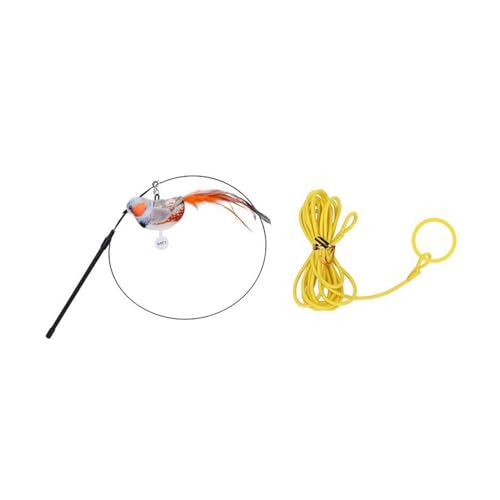 Qiebenav Unterhaltsames Katzenspielzeug mit klingender Bewegung, weiches Stoffspielzeug, hier ist ein Vorschlag für einen Produkttitel, interaktives, bissfestes Set, Sound Orange 1 Qiebenav Unterhaltsames Katzenspielzeug mit klingender Bewegung, weiches Stoffspielzeug, hier ist ein Vorschlag für einen Produkttitel, interaktives, bissfestes Set, Sound Orange 1 von Qiebenav