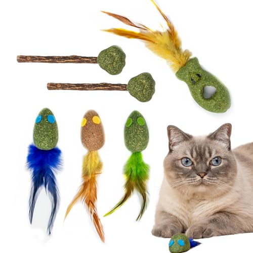 Qigeneimu Katzenminze-Spielzeug, Katzenminze, gefüllte Mäuse für Hauskatzen, Zahnreinigung für alle Rassen, realistisches Design (6 Stück) von Qigeneimu