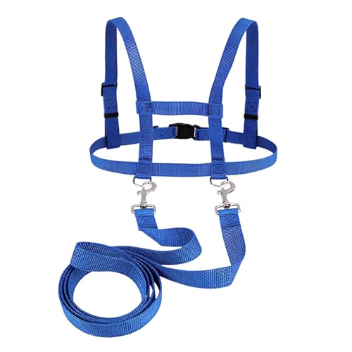 Pferdeleine zum Spielen für Kinder Blau Pferd Seil verstellbare Größe, Geeignet für Jungen, Mädchen Rollenspiel im Freien Simulation Reiten Spiele (Blau) von Qiimenguer