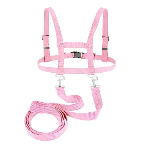Pferdeleine zum Spielen für Kinder Rosa Pferd Seil verstellbare Größe, Geeignet für Jungen, Mädchen Rollenspiel im Freien Simulation Reiten Spiele (Rosa) von Qiimenguer