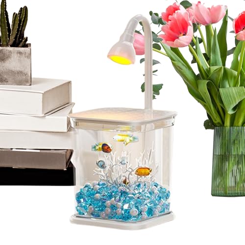 Betta Fisch Aquariums - Klare Aquarien Mit Beleuchtung,Desktop Dekoration Wasserlandschaft Klare Schreibtisch Spinne Zuhause Für Outdoor Tisch Büro Betta Fisch Aquariums - Klare Aquarien Mit Beleuchtung,Desktop Dekoration Wasserlandschaft Klare Schreibtisch Spinne Zuhause Für Outdoor Tisch Büro von Qikam