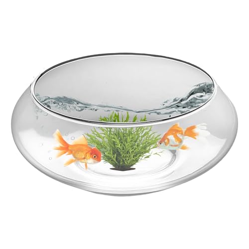 Gläserne Fischschale Vase - Hydrokultur Bonsai,Klar Rund Indoor Sukkulenten Vase Fischglas Für Tischdekoration Hochzeit Zuhause Festlich Gläserne Fischschale Vase - Hydrokultur Bonsai,Klar Rund Indoor Sukkulenten Vase Fischglas Für Tischdekoration Hochzeit Zuhause Festlich von Qikam