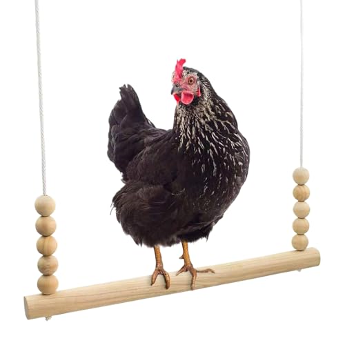 Vogelschaukel Für Hühner - Hölzerne Hühnerschaukel Spielzeug,Sitzstangen Leiter Kletterspielzeug Sicherer Spielspaß Bereicherndes Interaktives Klettergerüst Vogelschaukel Für Hühner - Hölzerne Hühnerschaukel Spielzeug,Sitzstangen Leiter Kletterspielzeug Sicherer Spielspaß Bereicherndes Interaktives Klettergerüst von Qikam