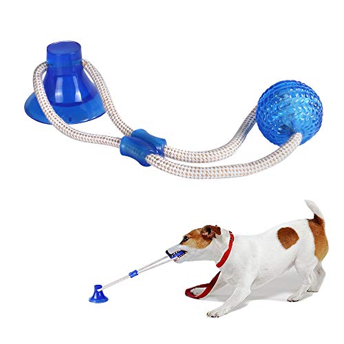 Qilmy Hundespielzeug Tauziehen Hundespielzeug mit Saugnapf Multifunktions Interaktives Seilspielzeug zum Zerren, Ziehen, Kauen für Hunde bis 18 kg Qilmy Hundespielzeug Tauziehen Hundespielzeug mit Saugnapf Multifunktions Interaktives Seilspielzeug zum Zerren, Ziehen, Kauen für Hunde bis 18 kg von Qilmy
