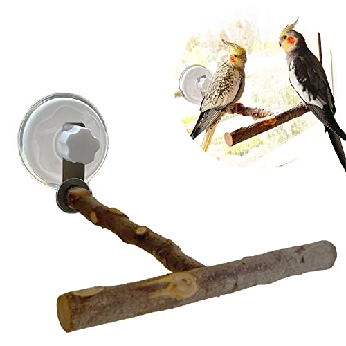 Vogel-Fenster/Badewanne/Auto/Reise-Sitzstange mit Saugnapf für kleine und mittelgroße Vögel, Papageien, Sittiche, Nymphensittiche, Wellensittiche, Lovebirds – (T-Type Wood WindowPerch) von Qimilenzy