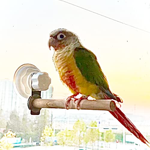 Vogel-Fenster/Badewanne/Auto/Reise-Sitzstange mit Saugnapf für kleine und mittelgroße Vögel, Papageien, Sittiche, Nymphensittiche, Wellensittiche, einfache Holzstange Vogel-Fenster/Badewanne/Auto/Reise-Sitzstange mit Saugnapf für kleine und mittelgroße Vögel, Papageien, Sittiche, Nymphensittiche, Wellensittiche, einfache Holzstange von Qimilenzy