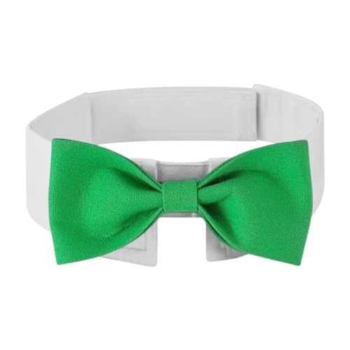 Qinlenyan Haustier-Halsband, bequem, einfacher Stil, für Welpen, Hunde, Schleife, Hals, Kreis, Haustierzubehör, Grün, Größe M Qinlenyan Haustier-Halsband, bequem, einfacher Stil, für Welpen, Hunde, Schleife, Hals, Kreis, Haustierzubehör, Grün, Größe M von Qinlenyan