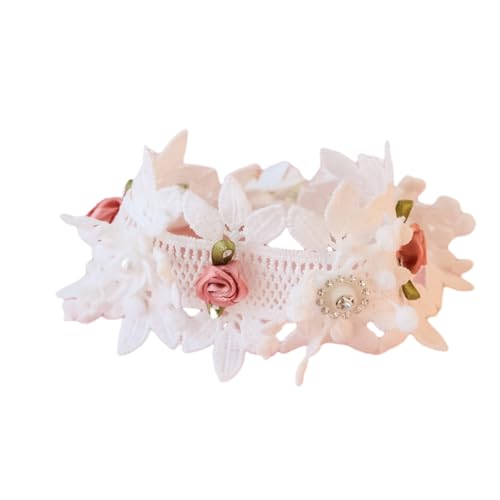 Qinlenyan Haustierhalsband, Spitze, Blumendekor, Katzenhalsband, verstellbar, bequem, Hundehalsband, modisches Zubehör, Rose, Größe S Qinlenyan Haustierhalsband, Spitze, Blumendekor, Katzenhalsband, verstellbar, bequem, Hundehalsband, modisches Zubehör, Rose, Größe S von Qinlenyan